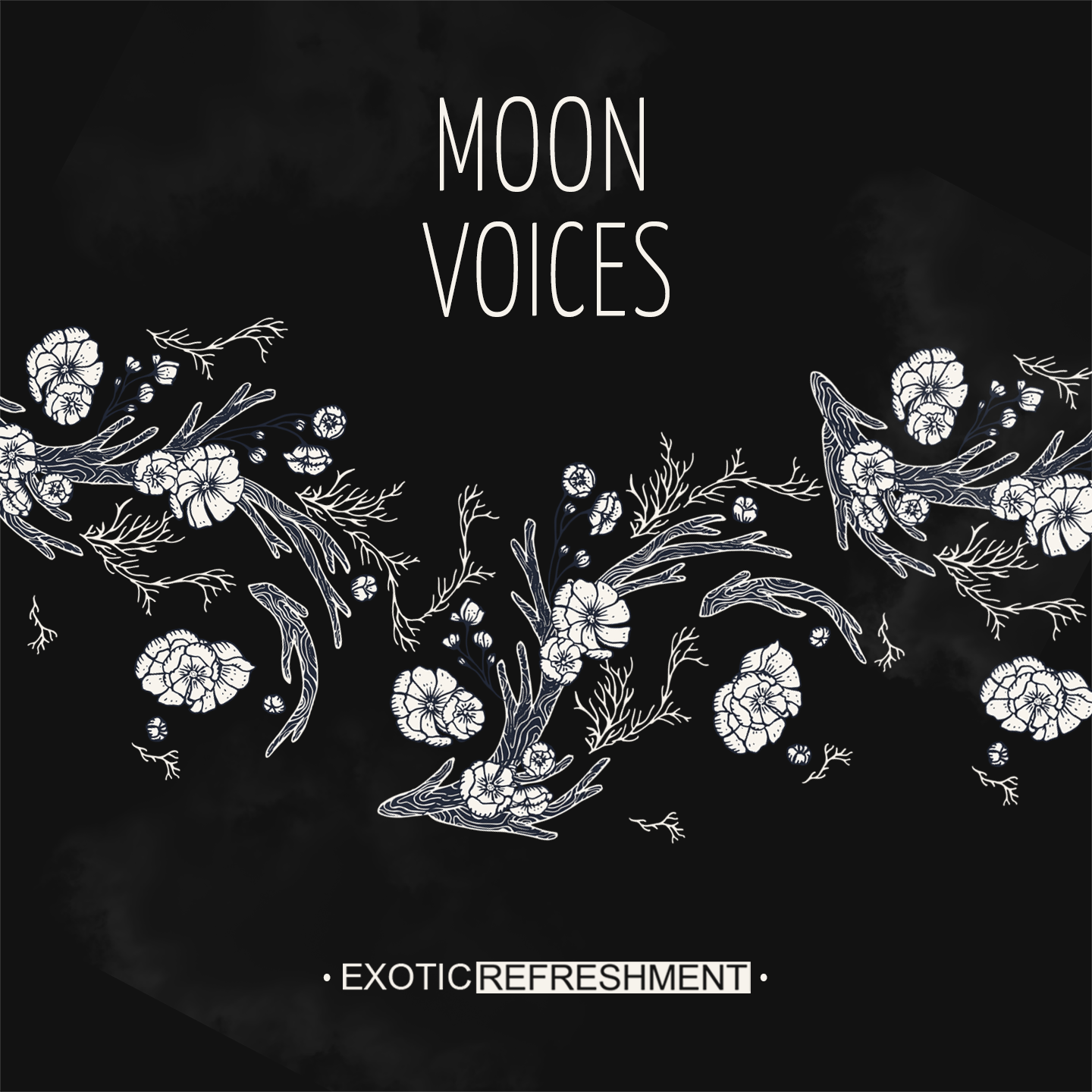VA - Moon Voices