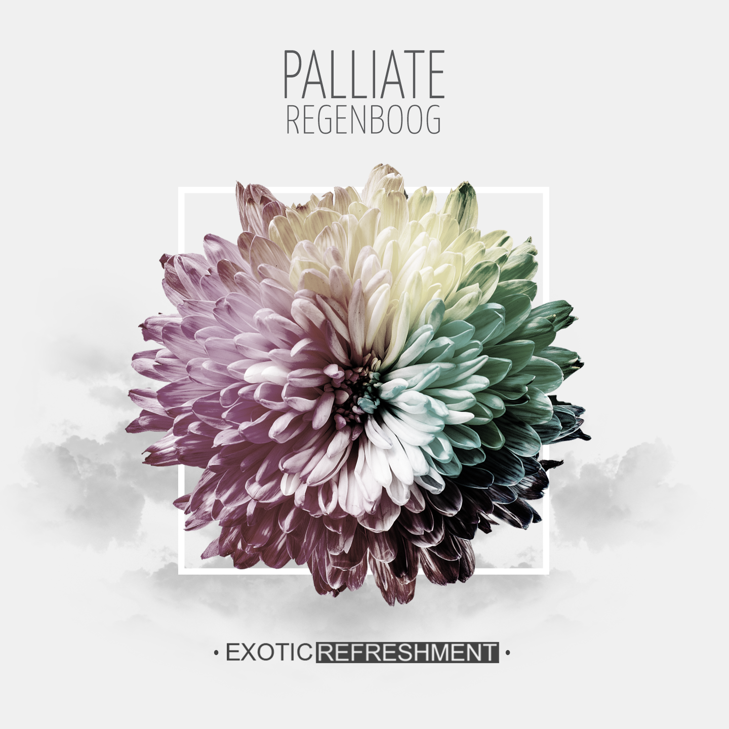 PALLIATE - Regenboog