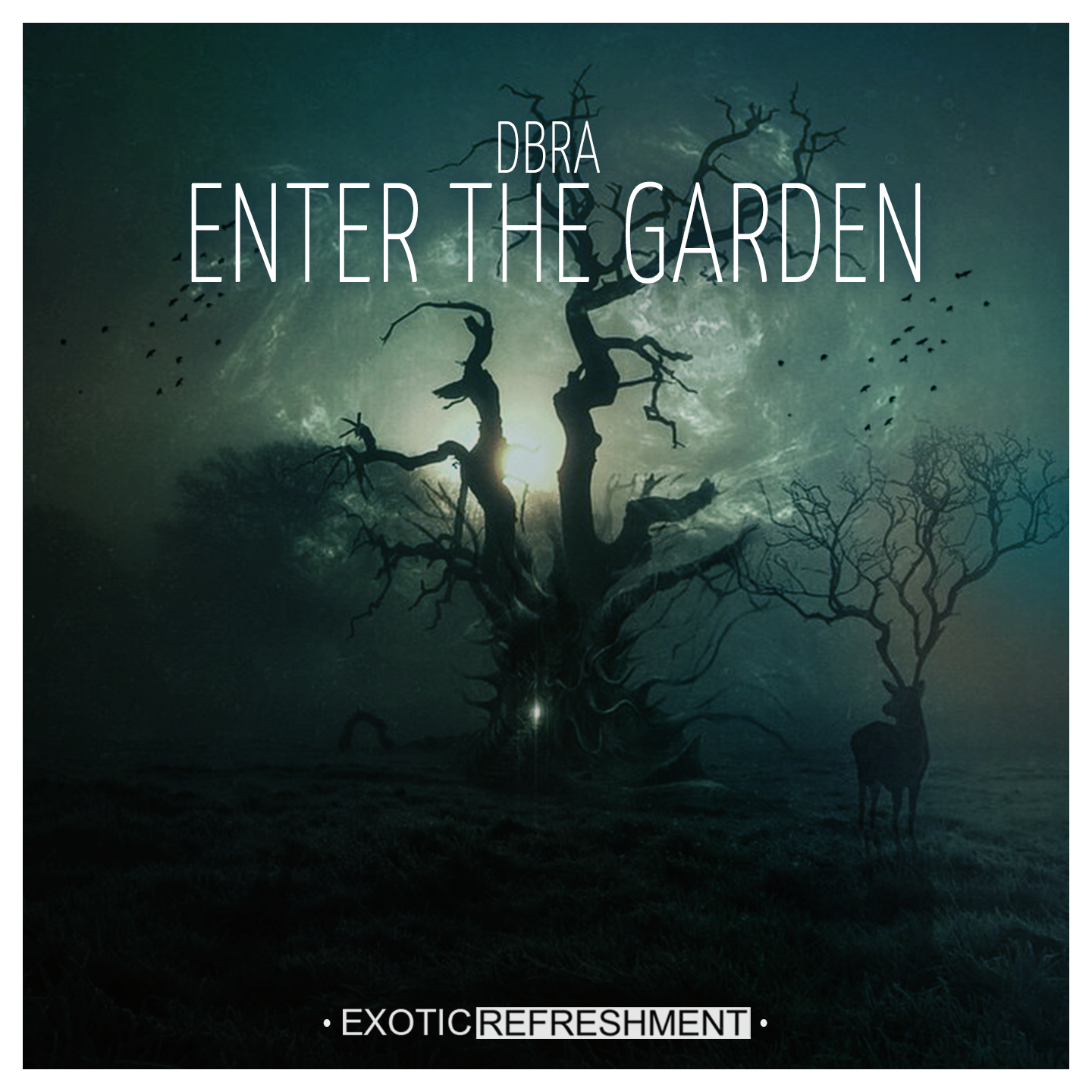 DBRA - Enter The Garden