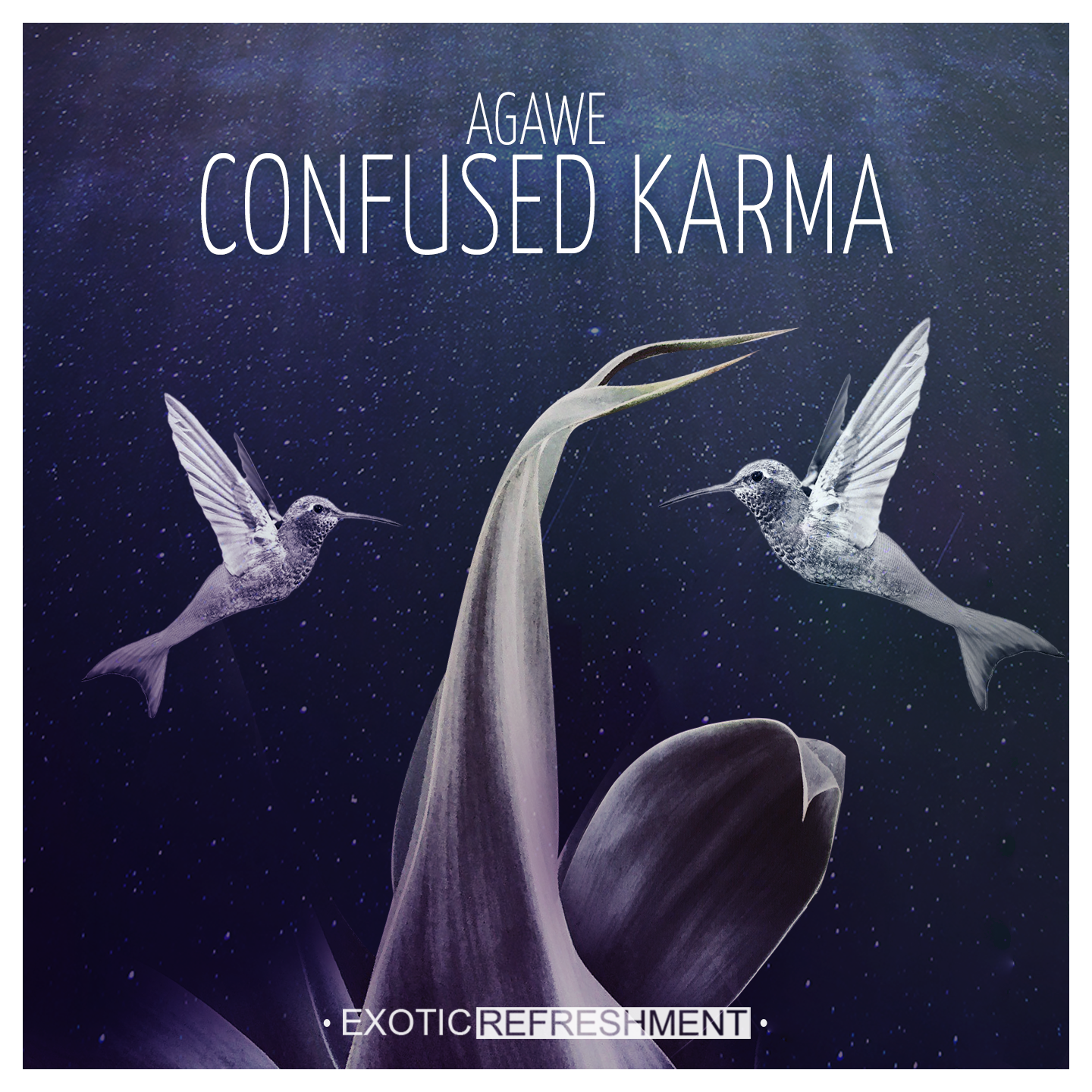 Agawe - Confused Karma